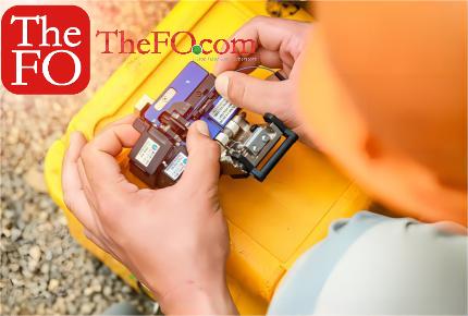 What Products can you purchase in TheFo with the budget 79 dollars?